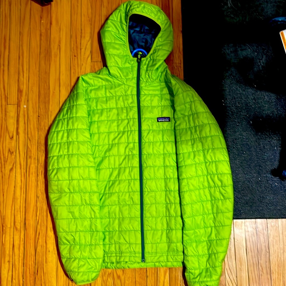 Patagonia lightweight down hooded jacket